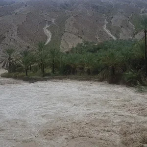 جمیله