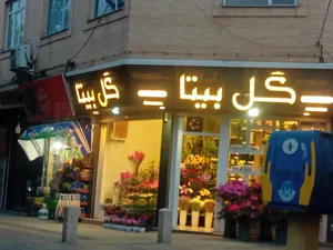 گل فروشی سیلن 2