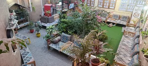 کافه زیبای تاج و تخت