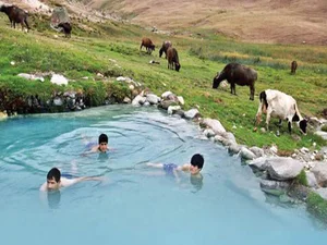 دکتر نبی زاده