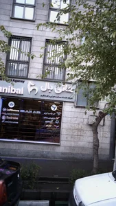 شرکت خدمات مسافرت هوایی و گردشگری هانی بال