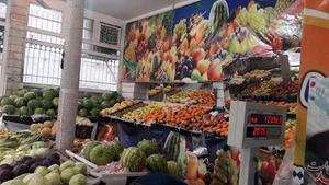 میوه فروشی علی زلفی
