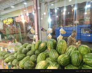 میوه ساسان شعبه مرکزی