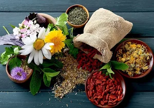 عطاری و گیاهان دارویی چهل گیاه