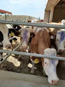 مرکز بایوفارم (پژوهشگاه ابن سینا)