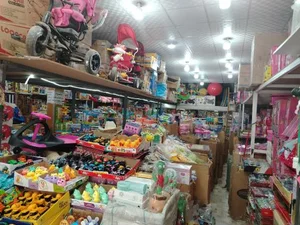 پخش اسباب بازی سالار