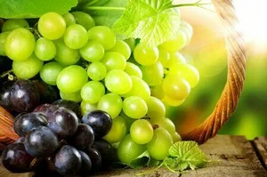 کلوچه پزی
