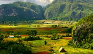 محصولات طبیعئ طیبات