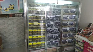 نخلستان امام علی