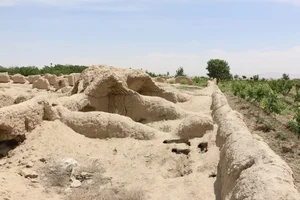 رضا گودرزی