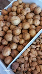 خشکبار رویین