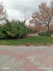 بوستان کویر 2