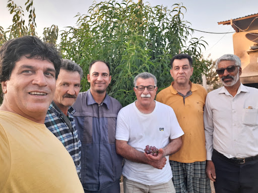 کوشک سفید...باغ پدری