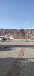 زمین بسکتبال
