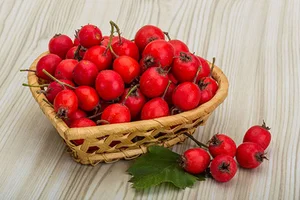 فروشگاه کهن ارگانیک