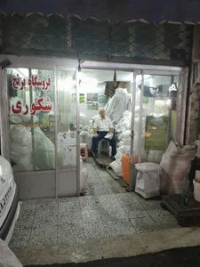 برنج فروشی شکوری