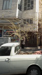 شوینده بهداشتی غذایی بهاران 2