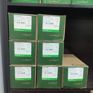نیرو گستران دوراندیش