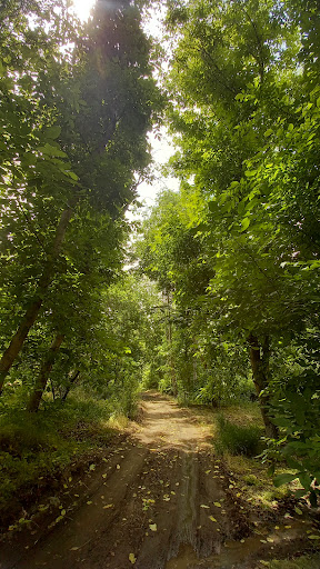 مزرعه النقی