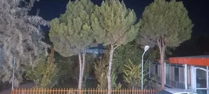 تالار سعید (باغ بهشتی) 4