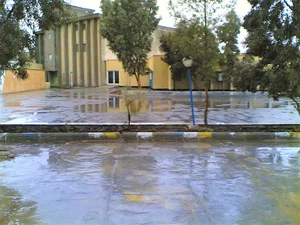 University high school