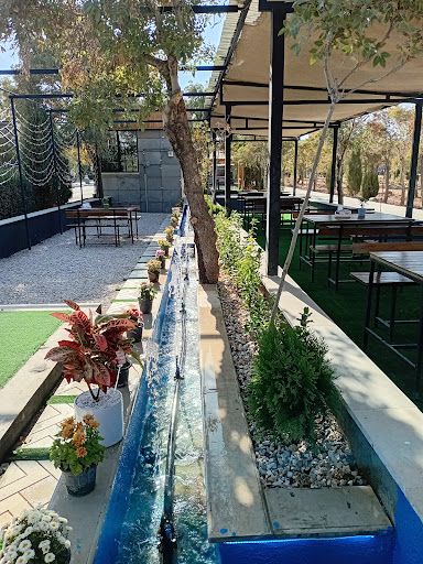 فلاویچ