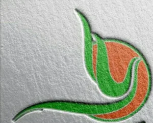 آژانس هواپیمایی تلکا(TelkaTravel)