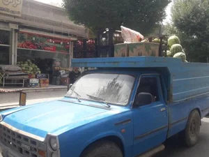 سوپر میوه و سبزیجات صادقی 3
