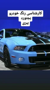 کارشناسی رنگ اتومبیل ببری 4