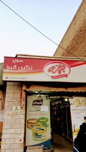 نگین البرز