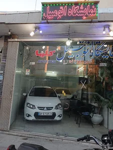 نمایشگاه اتومبیل گلها