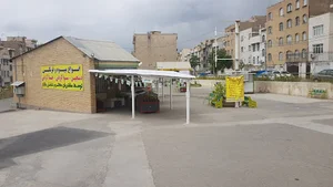 بازار میوه و تره بار مشیریه