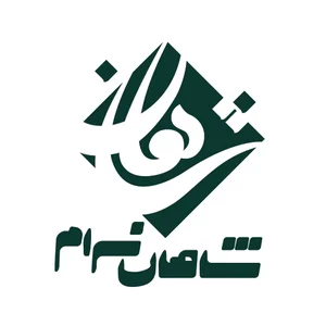 هلدینگ شاهان
