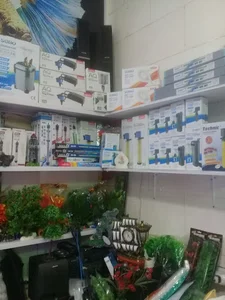 آکواریوم دلفین