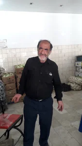 الکتریک ادراکی