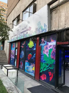 آکواریوم میداس