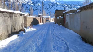 شاهکوه
