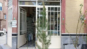 سلامت سرای نهال