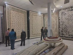 نمایندگی رسمی فرش آرا مشهد 2