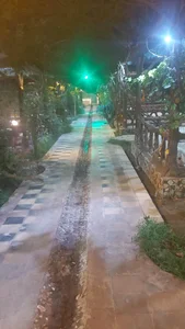 ائل گولی 2