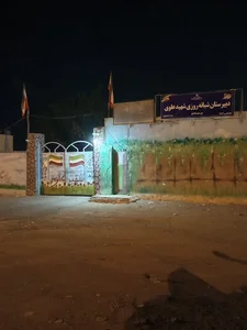 شهید علوی