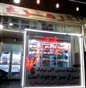 مرغ نور