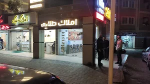 مشاورین املاک طلایی