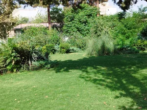 بوستان صنوبر
