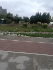 بوستان کاکتوس 2