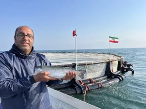کلوپ دریایی کوروش