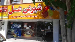 فروشگاه شیرین عسل