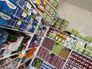 الکتریکی آرین 4