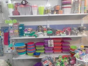 Island Plastic 2