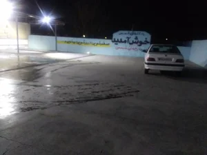 کارواش دلفین 2